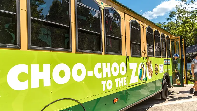 Choo-Choo to the Zoo shuttle drops off SunRail riders at the Central Florida zoo.