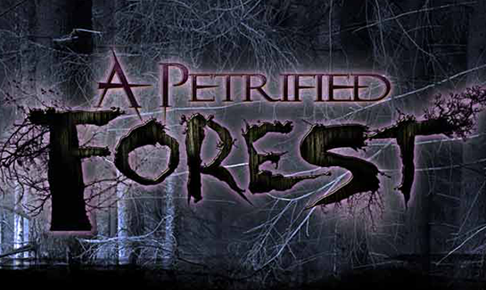A Petrified Forest