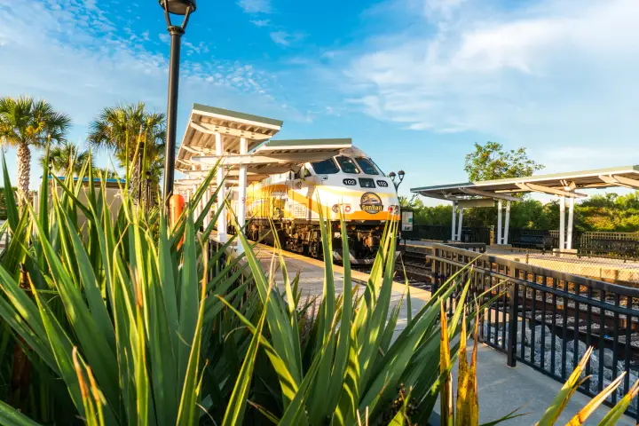 SunRail Train at SunRail DeBary Station with plants in the foreground.