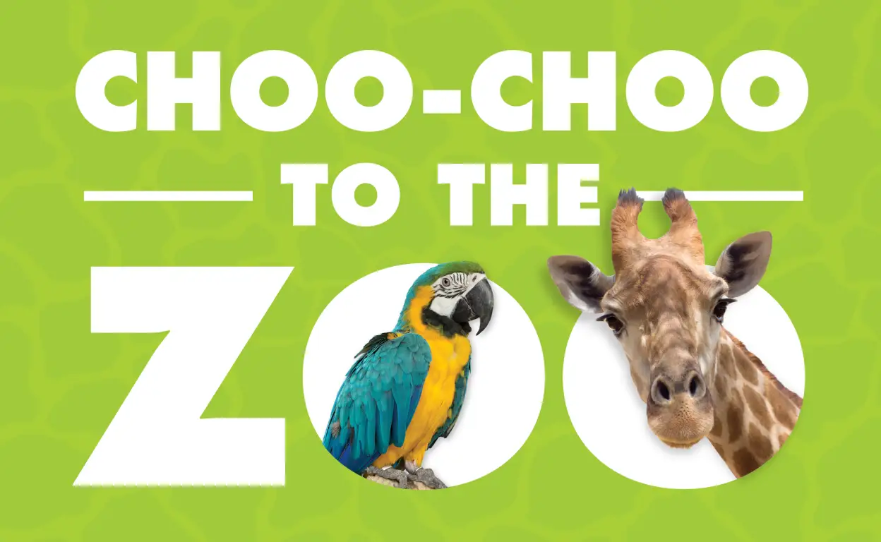 Choo-Choo to the Zoo image